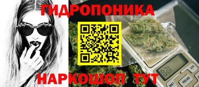 твердый Бийск