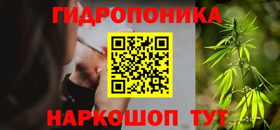 твердый Бийск