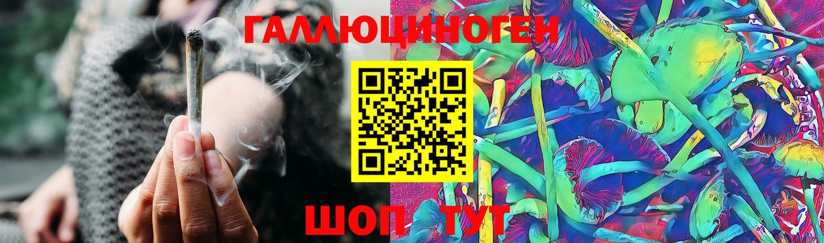 Галлюциногенные грибы мухоморы Губаха